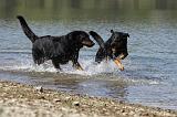 BEAUCERON 669